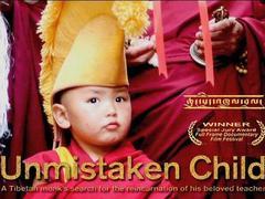 小活佛在线观看,穿越时空的神秘之旅